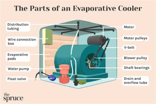 【How-To】Why Does My Water Cooler Not Dispense Water