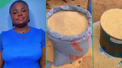 "I Bought One Bushel of Rice for N3,000": Lady Discovers Rural Village in Enugu Where Rice Is Cheap