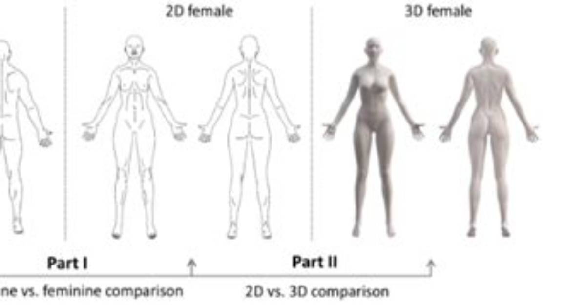 If Our Body Is Compared to a Car Engine, Why Can Proteins Be Compared to the Parts of the Engine?