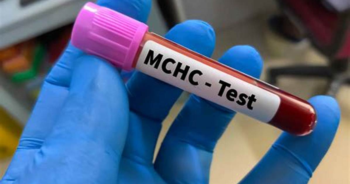 In Blood Test What Is Mchc?