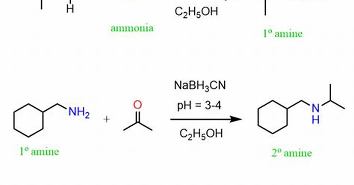 In Reductive Amination Ammonia Reacts with?