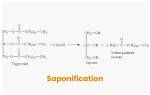 In the Saponification Reaction?