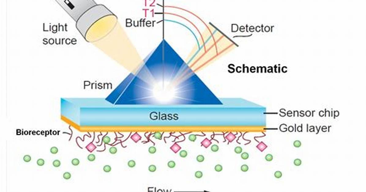 In the Surface Plasmon?