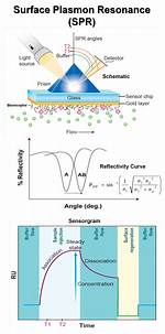 In the Surface Plasmon?