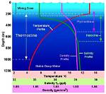 In the Thermocline It Is Salinity That Is Changing Rapidly with Depth?