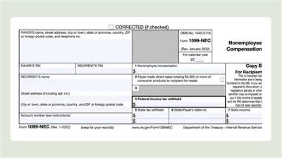 In Which Situations Is a 1099 Nec Not Required to Be Issued?