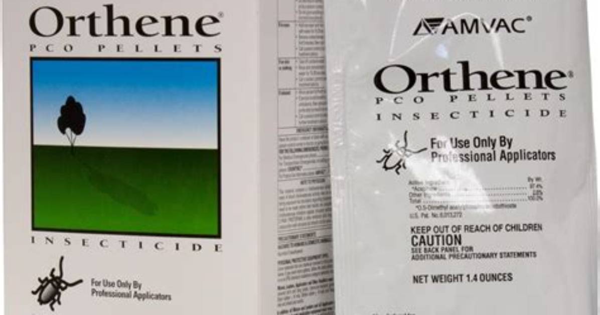 Information About Orthene Insect