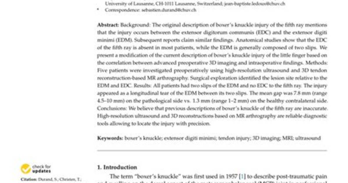 Insights into Boxer Cte: Examination of Risks and Implications