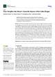 Insights into Boxer Cte: Examination of Risks and Implications