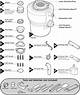 Insinkerator Pro 333 Instructions | Homesteady