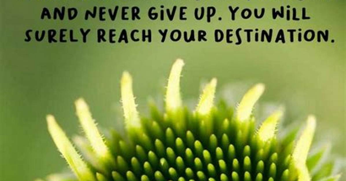 Inspirational Good Luck Quotes Sayings Wishes And