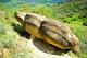 Intriguing Phenomena of Trovanti Stones: Nature's Geological Marvel