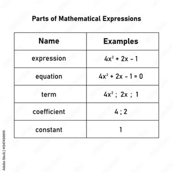 Is 1 a Mathematical Expression?