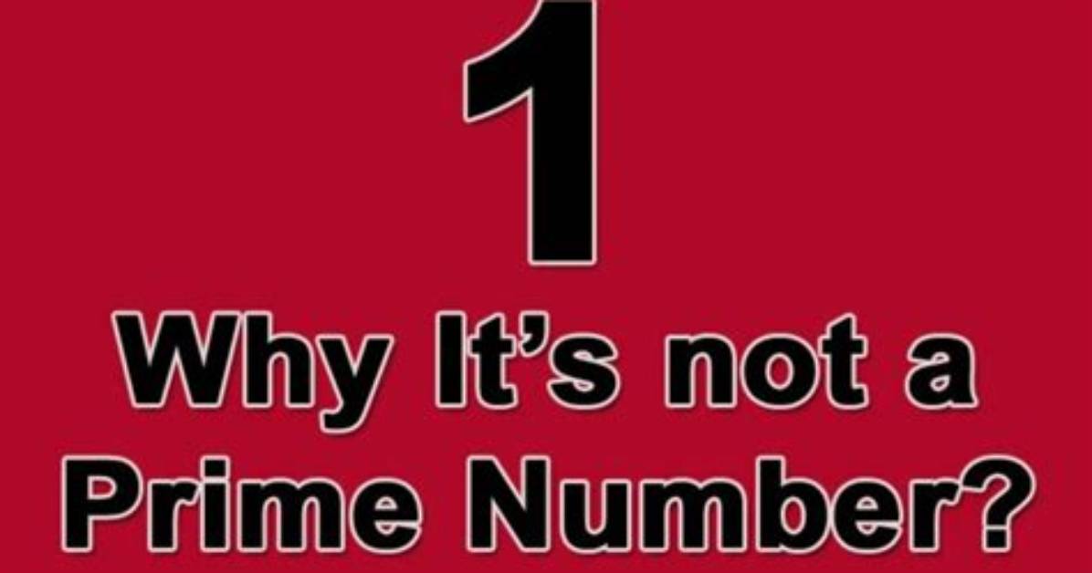 Is 1 a Special Number Why?