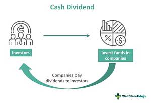 Is a Dividend a Cash Payment to Owners?