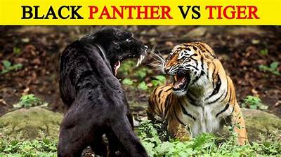 Is a Tiger a Panther?
