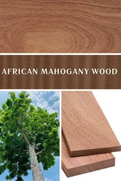 Is African Mahogany Expensive?