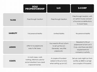 Is an Llcs Corp a Sole Proprietorship?