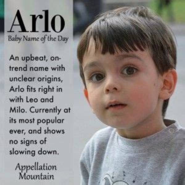 Is Arlo a Cool Name? Celebrity. Fm #1 Official Stars, Business & People Network, Wiki, Succes