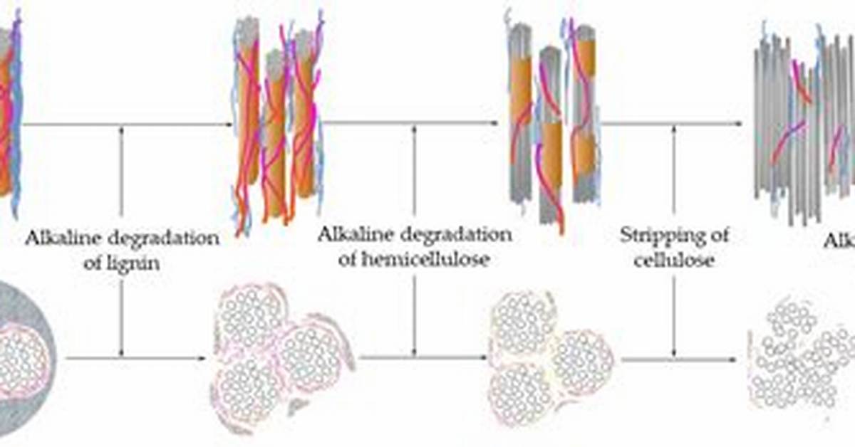 Is Asbestos Inorganic or Organic?