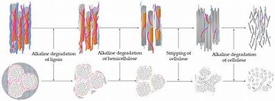 Is Asbestos Inorganic or Organic?
