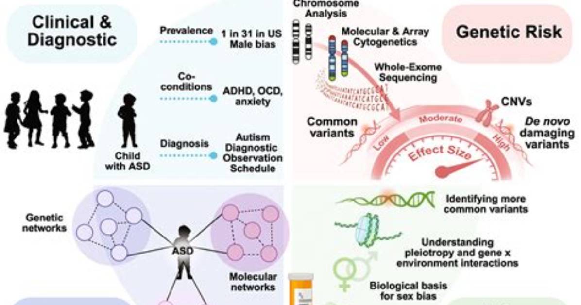 Is Autism Genetic or Hereditary?