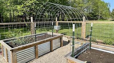 Is Black Cow Good for Raised Beds?