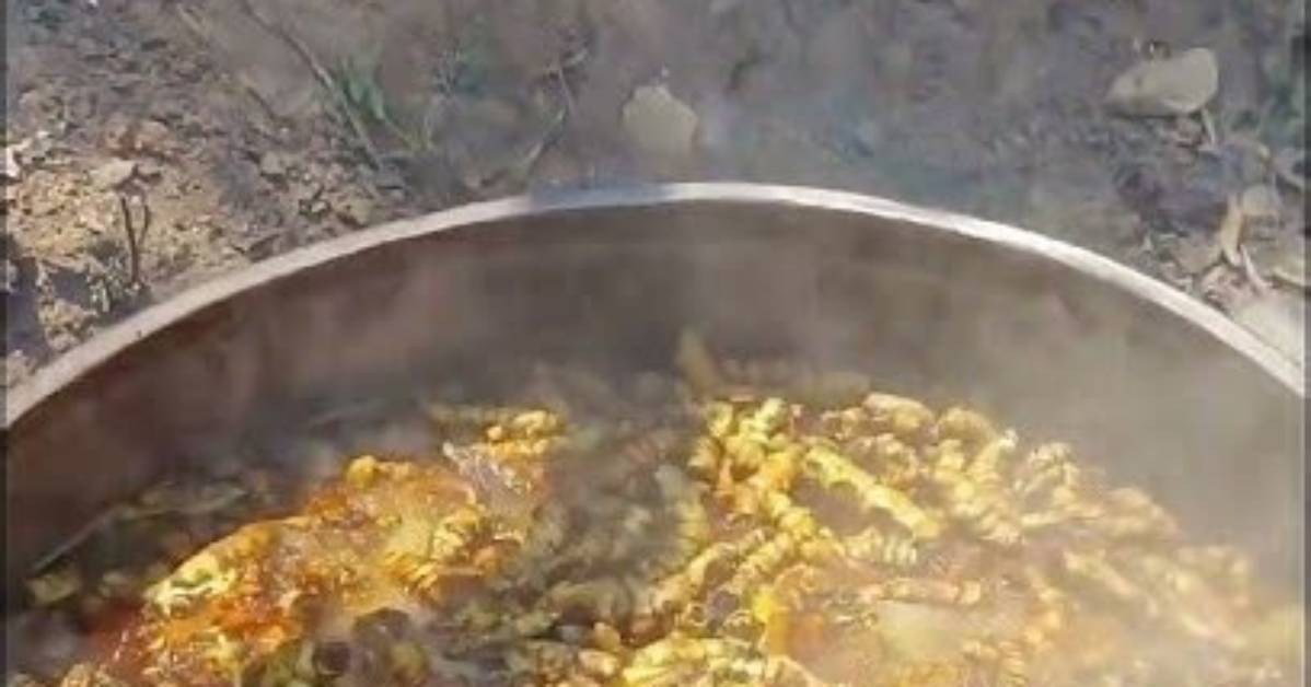 Is Boiling Turmeric Good?