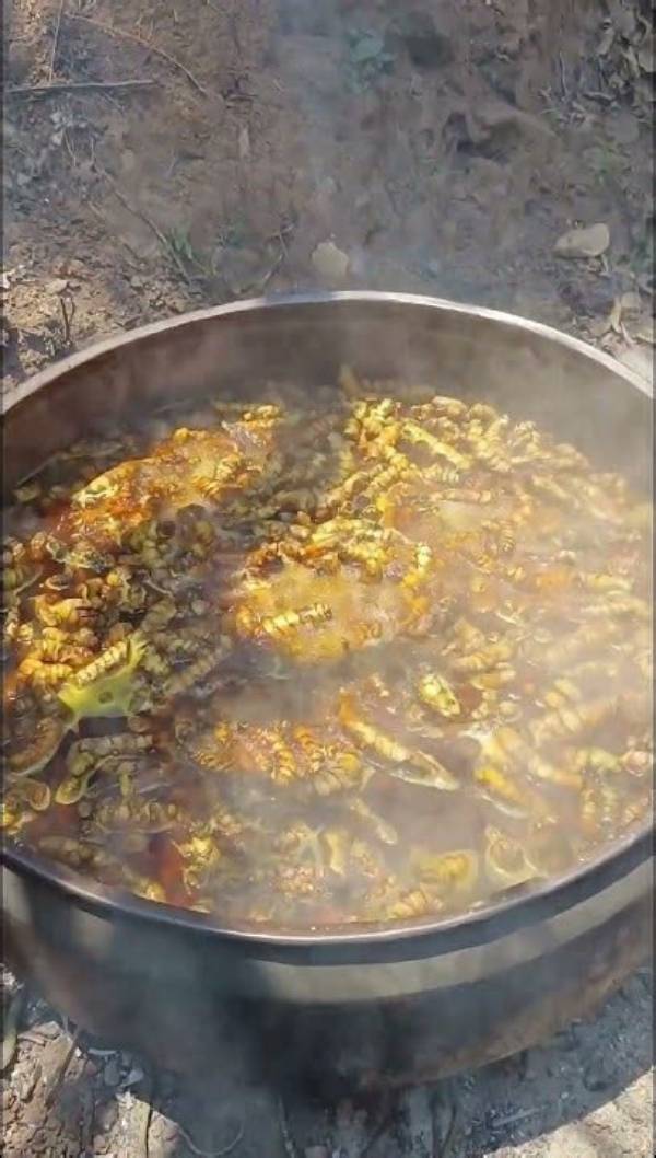 Is Boiling Turmeric Good?
