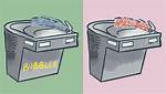 Is Bubbler the Same as Drinking Fountain?