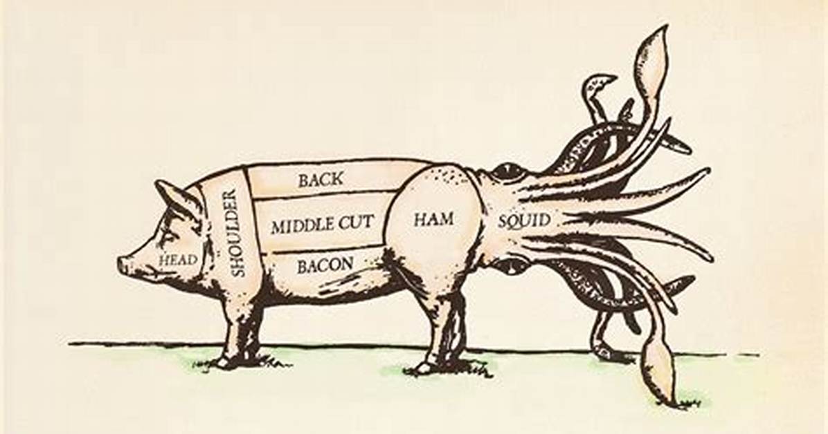 Is Calamari Pig Anus?