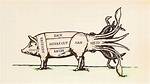 Is Calamari Pig Anus?