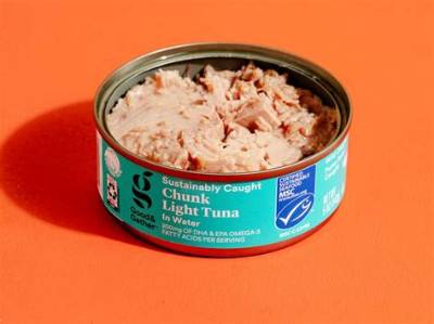 Is Canned Tuna Good for Ulcers?