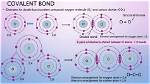 Is Carbon Diselenide Ionic or Covalent?