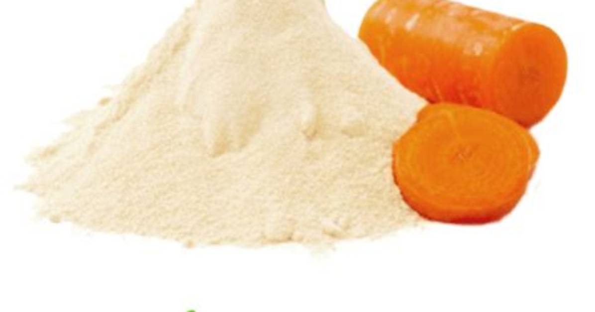 Is Carrot a Prebiotic?
