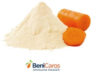 Is Carrot a Prebiotic?
