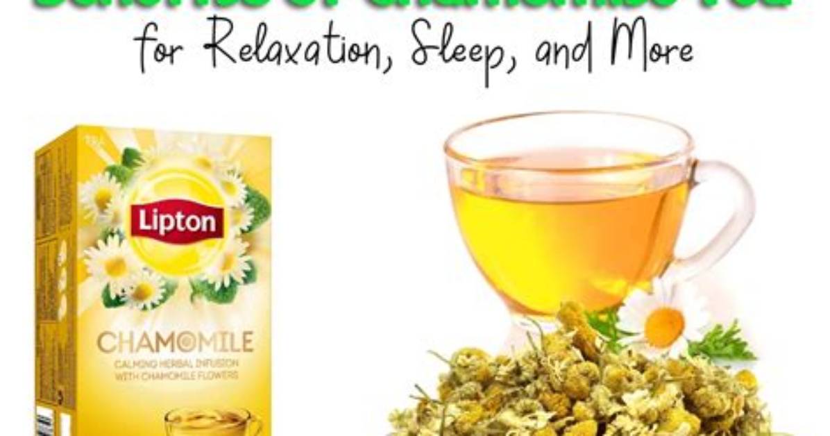 Is Chamomile Tea Good for Pancreas?