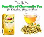 Is Chamomile Tea Good for Pancreas?