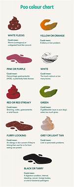 Is Chook Poo Bad for Dogs?
