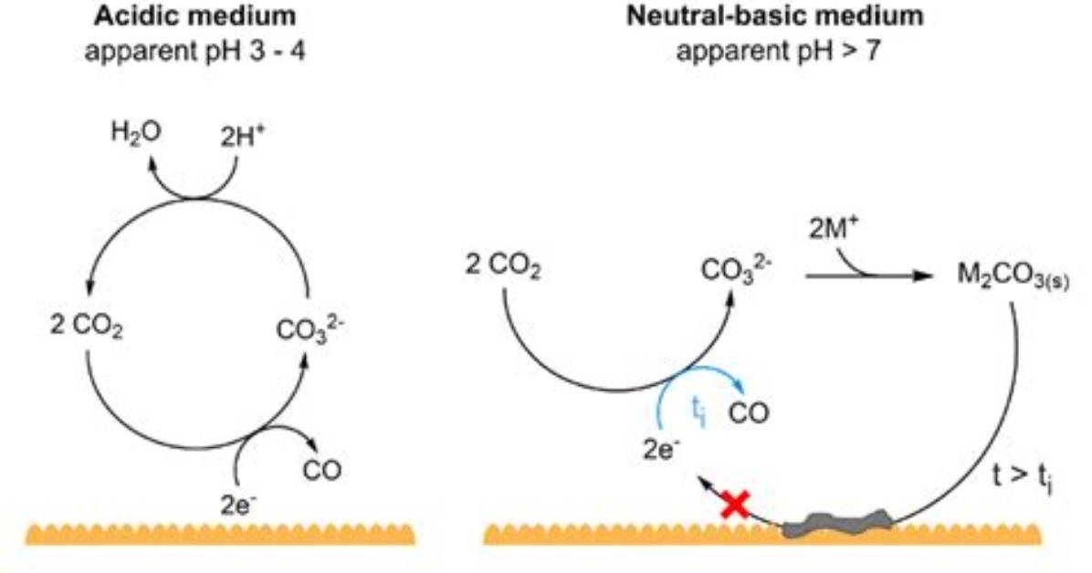 Is Co2 Acidic or Alkaline?