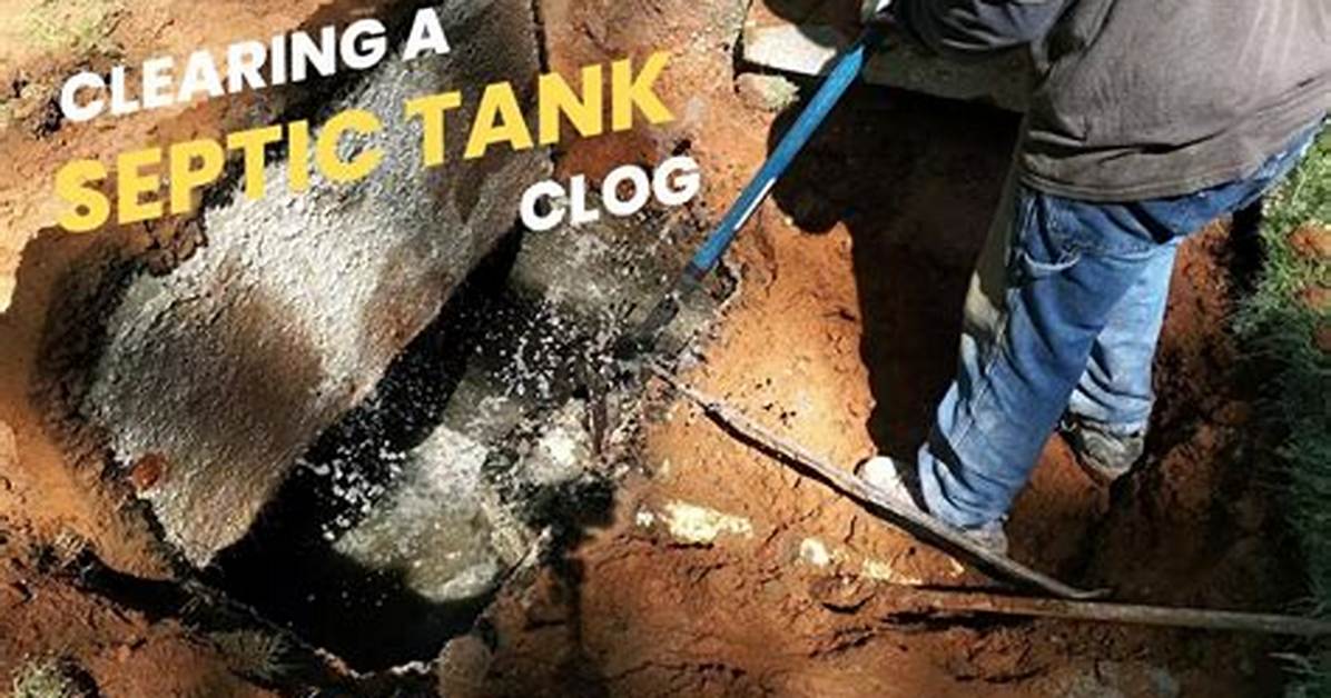 Is Coca Cola Safe for Septic Tanks?