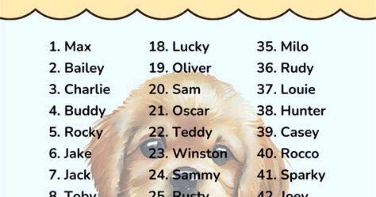 Is Coco a Boy Dog Name?