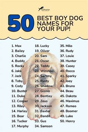 Is Coco a Boy Dog Name?