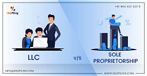 Is Consulting a Sole Proprietor?