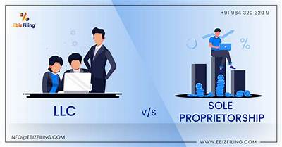 Is Consulting a Sole Proprietor?