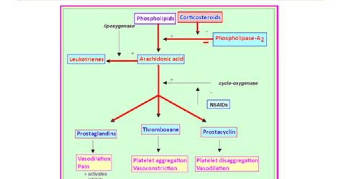 Is Cortisone an Anti-Inflammatory?