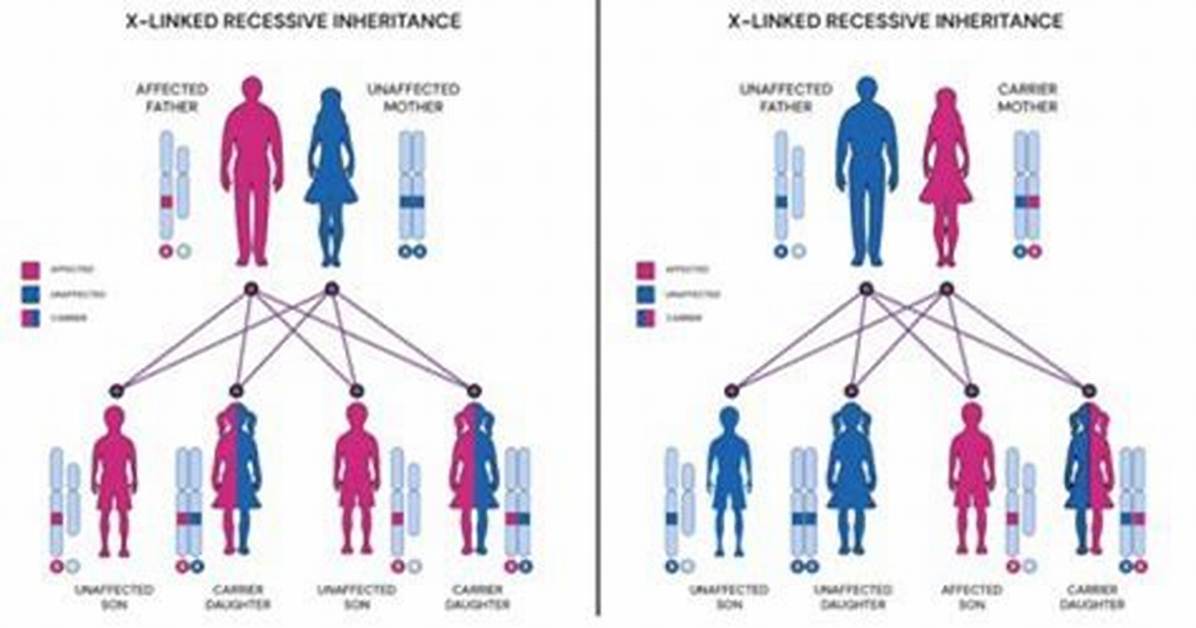 Is Disability Affected by Inheritance?