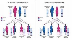 Is Disability Affected by Inheritance?