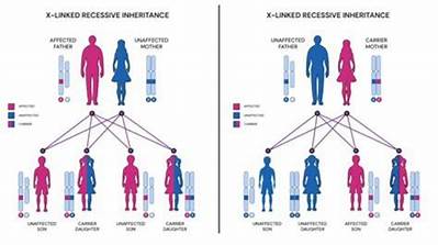 Is Disability Affected by Inheritance?