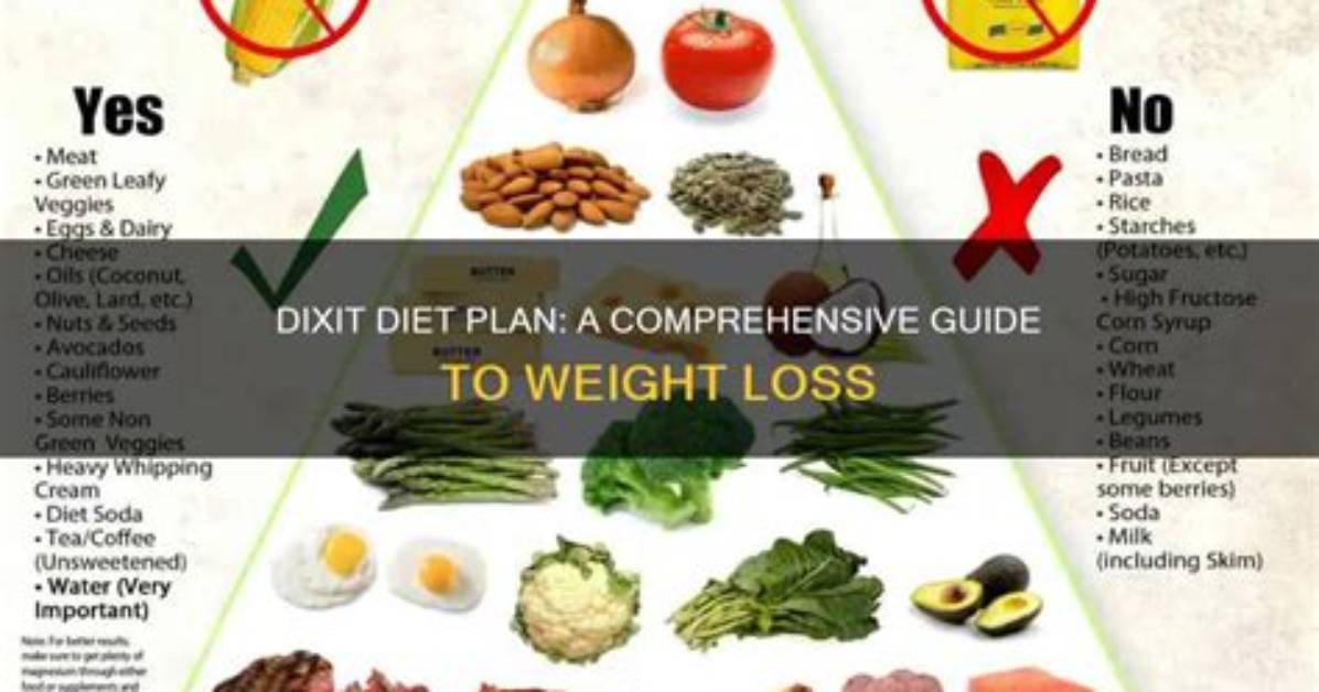 Is Dixit Diet Good for Weight Loss?